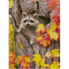 Купити Алмазная мозаїка на підрамнику. Єнотик восени (круглими камінчиками, 30х40 см)  в Україні