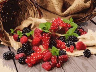 Купити Картина за номерами без коробки. Садові ягоди  в Україні