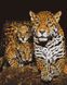 Алмазная мозаика на подрамнике. Ночные леопарды (40 x 50 см), С подрамником, 40 x 50 см