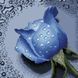 Алмазна мозаїка 30х30см Троянда синя TT600, Без підрамника, 30 х 30 см