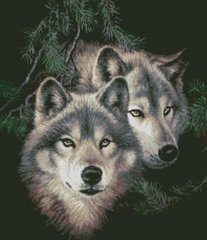 Купити Алмазна мозаїка Вовки в лісі  в Україні