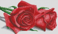 Купить Набор алмазной вышивки Пара красных роз  в Украине