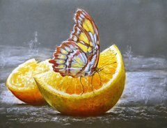 Купити Вишивка камінням за номерами Метелик на апельсині  в Україні