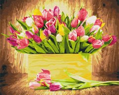 Купити Картина за номерами без коробки Святкові тюльпани  в Україні