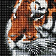 Купить Алмазная мозаика 20x20 см. Тигр  в Украине