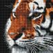 Алмазная мозаика 20x20 см. Тигр, Без подрамника, 20 х 20 см