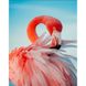 Алмазная картина на подрамнике, набор для творчества. Яркий розовый фламинго размером 30х40 см (квадратные камешки), С подрамником, 30 х 40 см