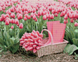 Купити Алмазна мозаїка. Рожеві тюльпани та чобітки 40 x 50 см  в Україні