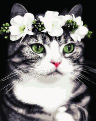 Купити Картина за номерами. Романтична кішка  в Україні