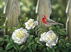 Купить Вышивка камнями по номерам Птица на садовых розах  в Украине