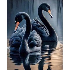 Купить Алмазная картина на подрамнике, набор для творчества. Черные лебеди размером 40х50 см (квадратные камешки)  в Украине