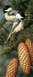 Алмазная мозаика Синички на ветке, Без подрамника, 30 х 70