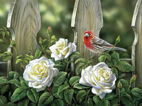 Купити Вишивка камінням за номерами Птах на садових трояндах  в Україні