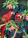Картина по номерам. Красочные попугаи, Подарочная коробка, 30 х 40 см