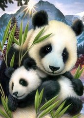 Купить Вышивка камнями по номерам Милые панды  в Украине