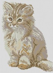 Купить Алмазная мозаика Пушистый котенок  в Украине