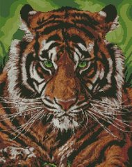 Купити Мозаїка за номерами (на підрамнику). Непереможний тигр  в Україні