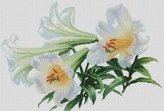 Купити Набір для алмазного живопису Цвітіння лілій  в Україні
