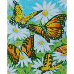 Купити Алмазна мозаїка на підрамнику. Метелики в ромашках (40 x 50 см, круглими камінчиками)  в Україні
