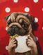 Алмазная мозаика на подрамнике. Счастливая собачка ©Lucia Heffernan (40 x 50 см, набор для творчества), С подрамником, 40 x 50 см