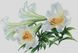 Набір для алмазного живопису Цвітіння лілій, Без підрамника, 45 х 65 см