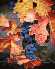 Купить Картина по номерам без коробки. Осенний виноград  в Украине