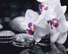 Купити Картина антистрес за номерами Квіти дзену  в Україні