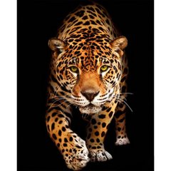 Купити Алмазна картина на підрамнику, набір для творчості. Зустріч з леопардом розміром 40х50 см (квадратні камінчики)  в Україні