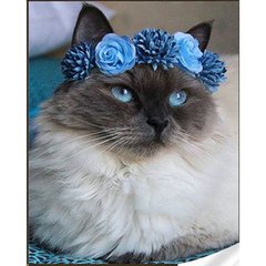 Купити Набір алмазної мозаїки на підрамнику. Котик у блакитному віночку (30х40см, квадратні камінчики, повна викладка полотна) викладка алмазами за номерами  в Україні