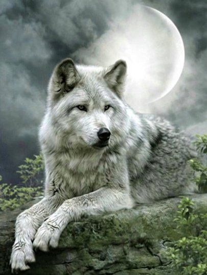 Купить Алмазная мозаика на подрамнике. Волк под луной  в Украине
