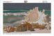 Картина из мозаики. Дары моря, Без подрамника, 55 х 35 см