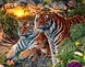 Алмазна мозаїка на підрамнику. Сім'я тигрів в дикій природі, З підрамником, 40 x 50 см