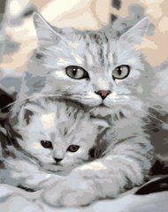 Купить Картина по номерам Кошка и котенок  в Украине