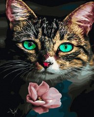 Купити Картина за номерами без коробки. Кішка та квітка  в Україні