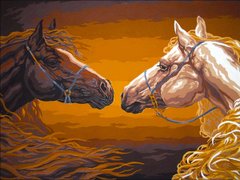 Купить Картина по номерам. Прекрасные лошади  в Украине