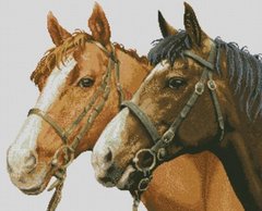 Купити Діамантовий живопис Пара коней  в Україні