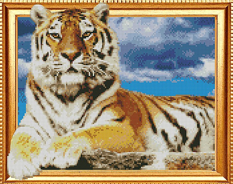 Купити Алмазна мозаїка по номерам круглими камінчиками. Гордий тигр (на підрамнику)  в Україні