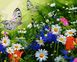 Картина по номерам. Цветочное поле и бабочки, Подарочная коробка, 40 х 50 см
