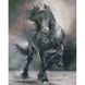 Алмазна мозаїка. Чорний кінь (40 х 50 см, набір для творчості, картина стразами), З підрамником, 40 х 50 см
