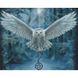 Алмазная мозаика. Белая сова (40 х 50 см, набор для творчества, картина стразами), С подрамником, 40 х 50 см