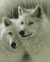 Купити Алмазна мозаїка на підрамнику. Білі вовки 40 x 50 см  в Україні