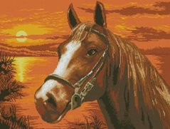 Купить Алмазная мозаика На закате (лошадь)  в Украине