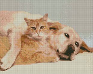 Купити Алмазна мозаїка по номерам круглими камінчиками. Дружба старих друзів (на підрамнику)  в Україні