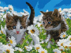 Купити Алмазна мозаїка Тріо кошенят 30х40 АМС-155  в Україні