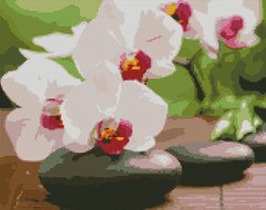 Купить Алмазная мозаика по номерам круглыми камешками. Орхидея на камнях (на подрамнике)  в Украине