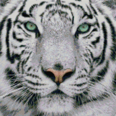 Купити Алмазна мозаїка 40 х 40 см. Білий тигр  в Україні