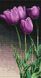 Картина из мозаики. Сиреневые тюльпаны, Без подрамника, 25 х 15 см