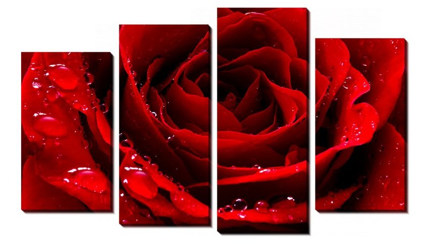 Купити Алмазна мозаїка. Полиптих Червона троянда  в Україні
