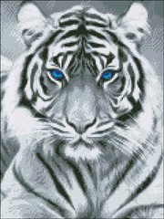Купити Алмазна мозаїка Білий тигр 30х40 АМС-143  в Україні