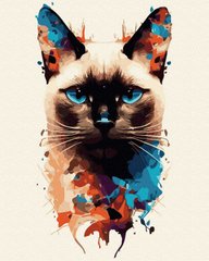 Купить Картина по номерам без коробки Цветной кот  в Украине